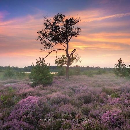 Natuurhuisje Oisterwijk Villa ภายนอก รูปภาพ