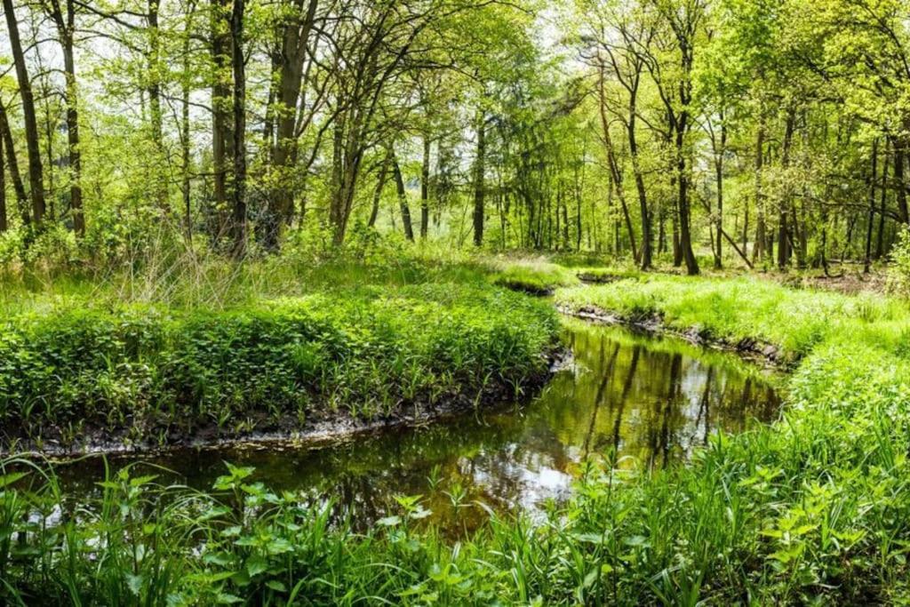 Natuurhuisje Oisterwijk Villa ภายนอก รูปภาพ